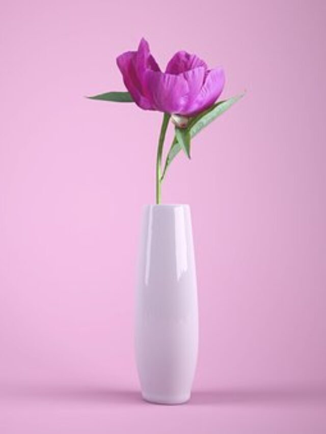 Valentine’s Day • Rose • February